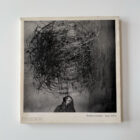 Front cover of the photography book "Shadow Chamber" by Roger Ballen, showing a monochromatic image of a man and wire tangle, signed softcover edition published by Phaidon.