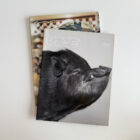 The inaugural first and second issues of the South African edition of VICE Magazine stacked on a white background, featuring the Volume 1 Number 1 pig cover on top.